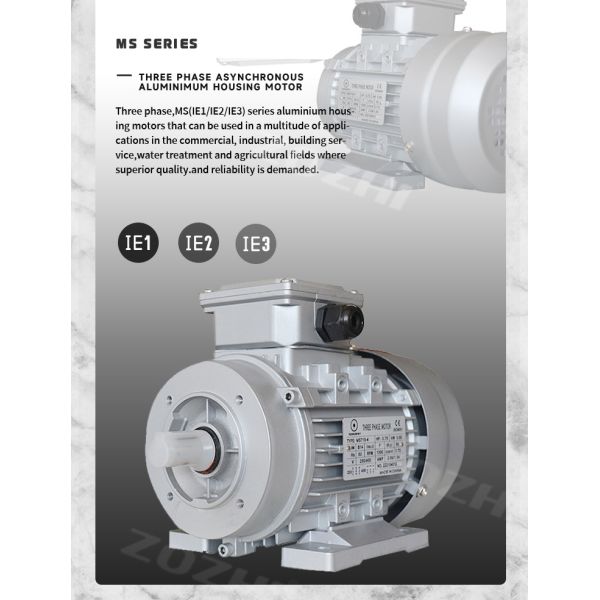 2.2KW Three-Phase Induction Motor with Waterproof Design and IMB3/IMB5 Mounting for Industrial Applications