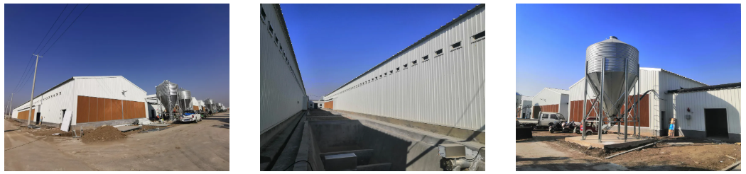 Prefabricated Steel Structure Thermostatic Hot DIP Galvanized Steel Poultry Chicken House