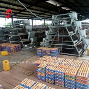 Buy cheap Turnkey Project Automatic Poultry Battery Cage System 3 Tiers 450cm2 Star product