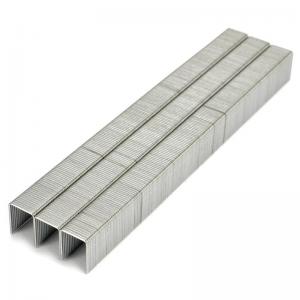 China Galvanized Type 53 Staples 10mm 7/16 Crown JT21 5/16 Length Chisel Point on sale