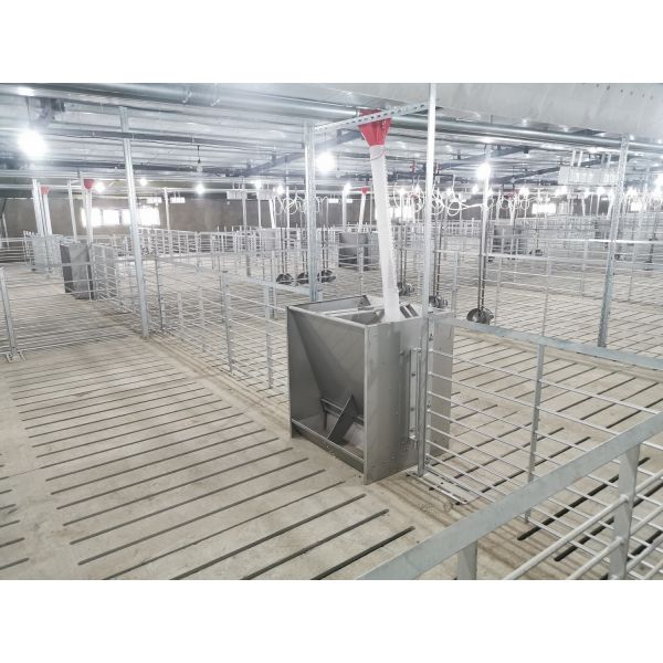 Customized Light Steel Frame House , Galvanized Steel Poultry House